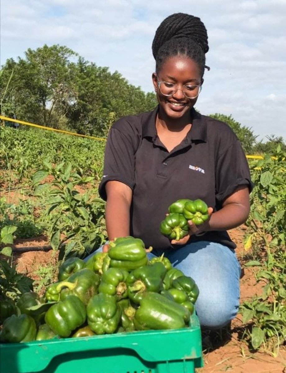 📸@ines_joie
The future of farming is in the hands of the most passionate, forward-thinking farmers.#modernagriculture #passion #Drive #FoodSecurity
