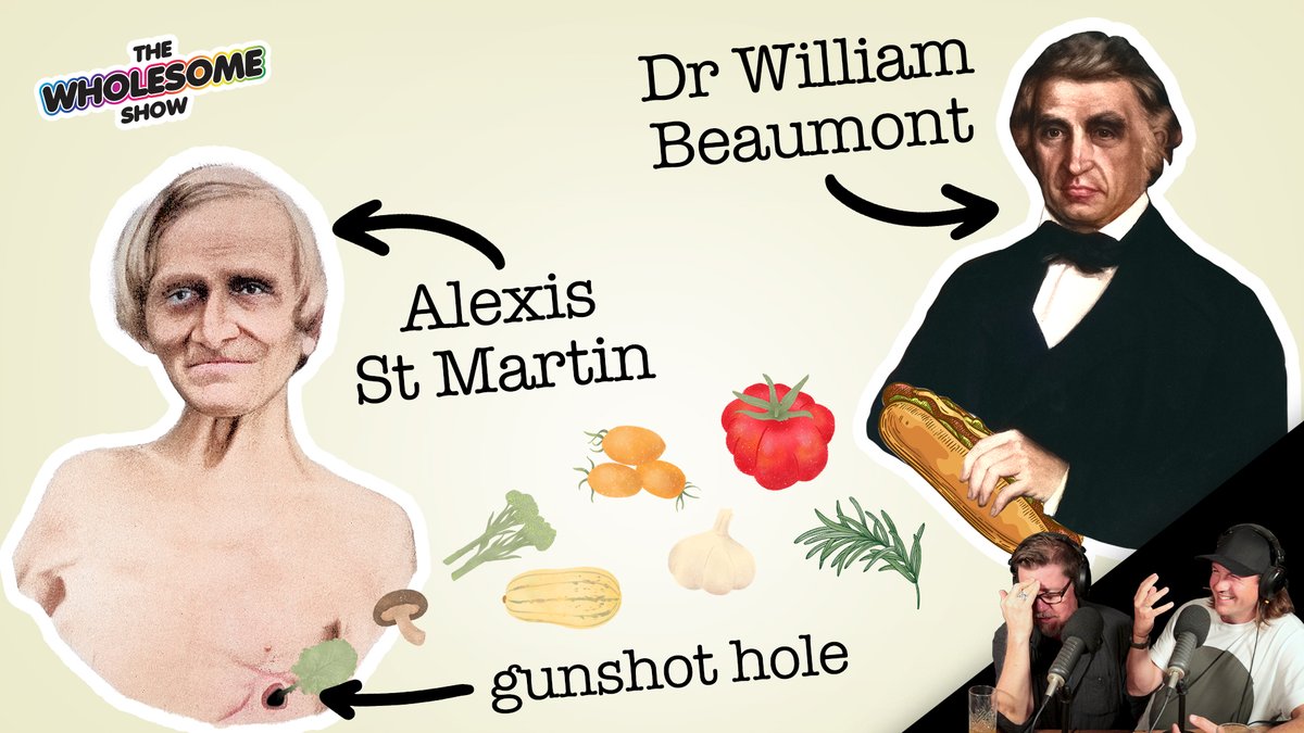 The Wholesome Show (@wholesomeshow) on Twitter photo Have you ever been shot in the guts and left to die but then you don't die but then the gut hole doesn't heal over and then the local science guy decides to lower meat into your stomach hole to see what will happen? UGH! <a href="/rodl/">Rod Lamberts</a> tells <a href="/willozap/">Will J Grant</a> a gross story podcasts.apple.com/au/podcast/the⦠Have you ever been shot in the guts and left to die but then you don't die but then the gut hole doesn't heal over and then the local science guy decides to lower meat into your stomach hole to see what will happen? UGH! <a href="/rodl/">Rod Lamberts</a> tells <a href="/willozap/">Will J Grant</a> a gross story podcasts.apple.com/au/podcast/theā¦