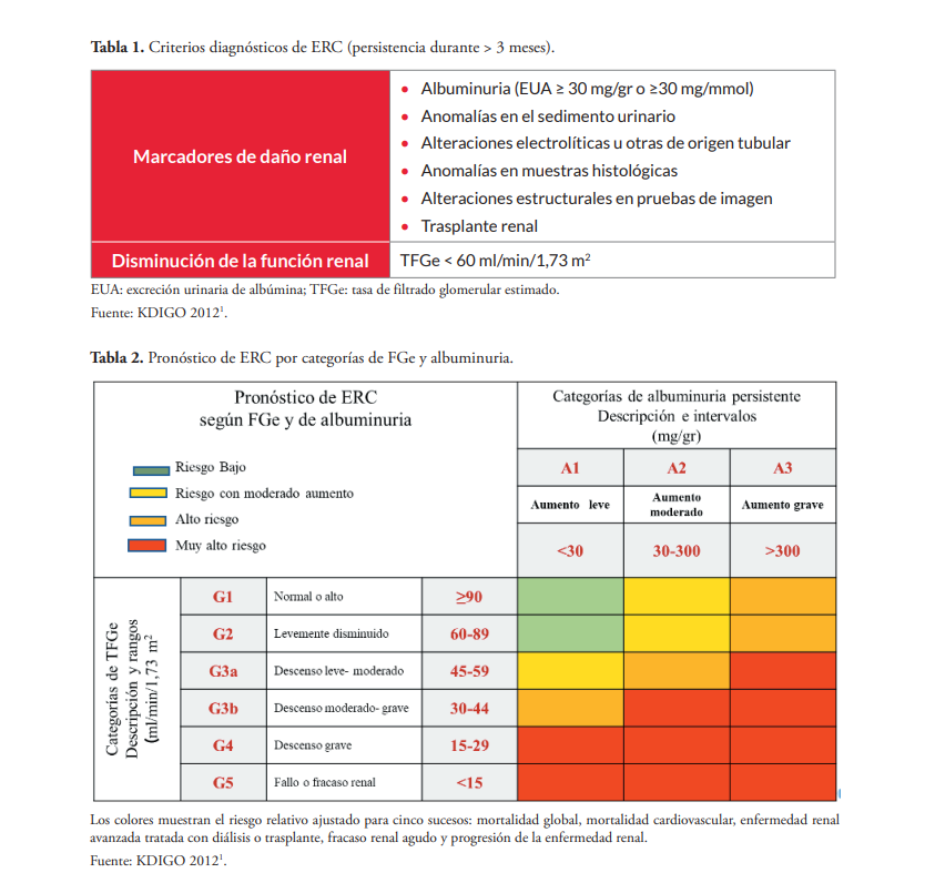 🔍Para diagnosticar y tratar, antes debes conocer: 
🫘Enfermedad renal crónica‼️: 
↗️una de las principales causes de mortalidad en el mundo
↗️ #Diabetes como un importante factor de riesgo
↗️ 40% de pacientes con #ERD
#Diabetespractica #DPredgdps  #ERC
diabetespractica.com/articulo/666