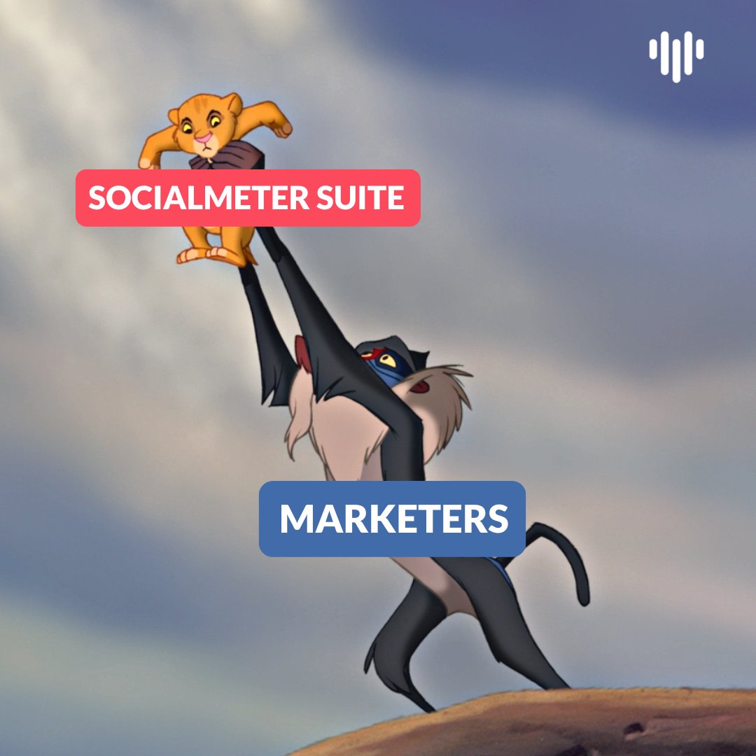 Il sacro graal del #marketing 🦁

#socialmeter #bigdata #datadriven