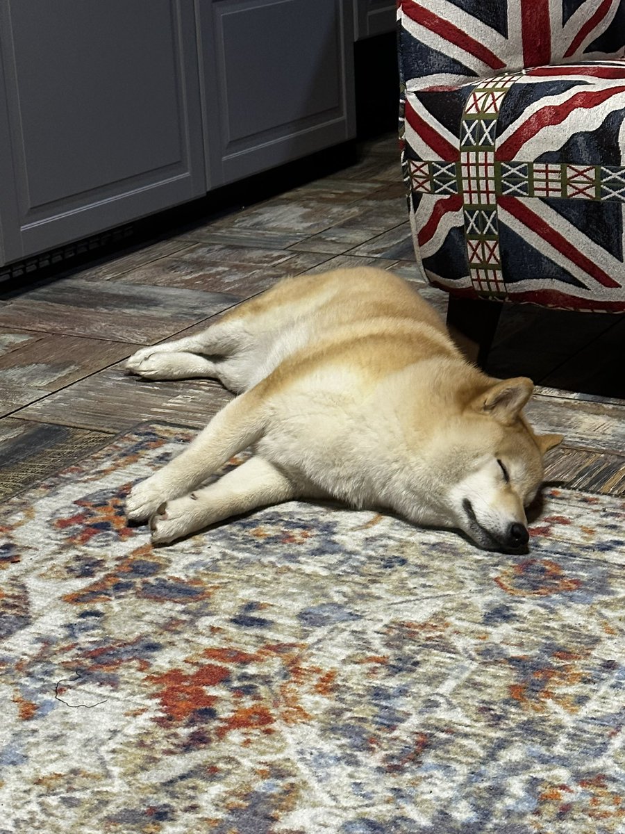 worldmyname's tweet photo. Zzzzzzz https://t.co/EGcjhFrWaV