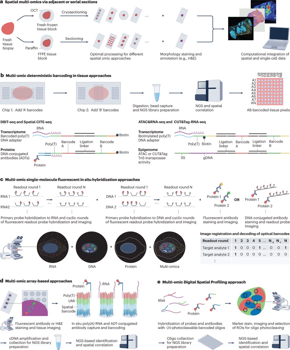 Nature Reviews on Twitter "The authors focus on methods that