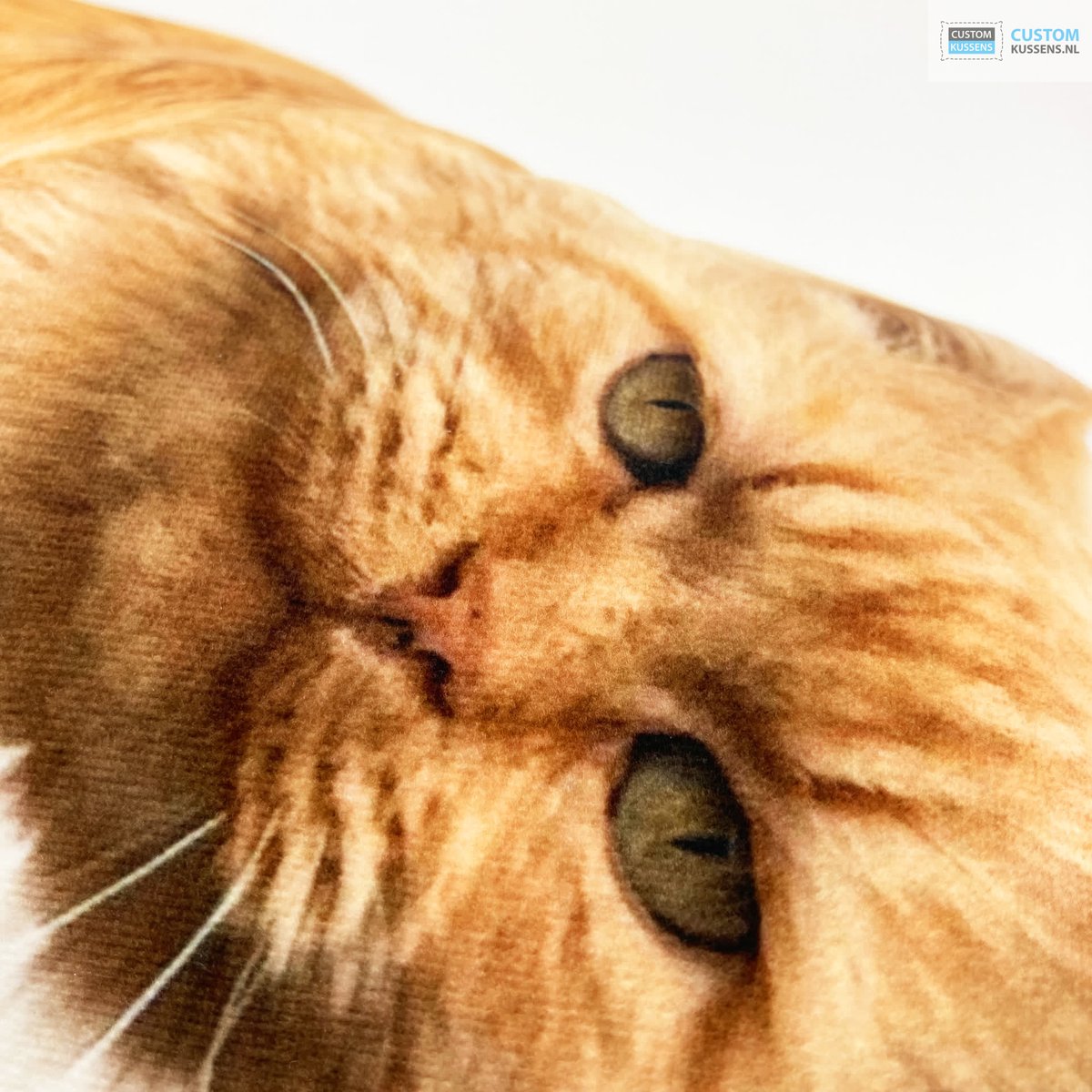 CustomKussens's tweet photo. Kussen van uw eigen kat? >> https://t.co/BwUT8KUG2g

#CustomKussens #Kussens #Decoratie #Huisdieren #Dieren #Kat #Katten #HuisdierenFotografie #DierenFotografie #HuisdierPlezier #FotoKussen #FotoKussens #KussensOpMaat #KussensMaken... https://t.co/fdk3ET1Sok