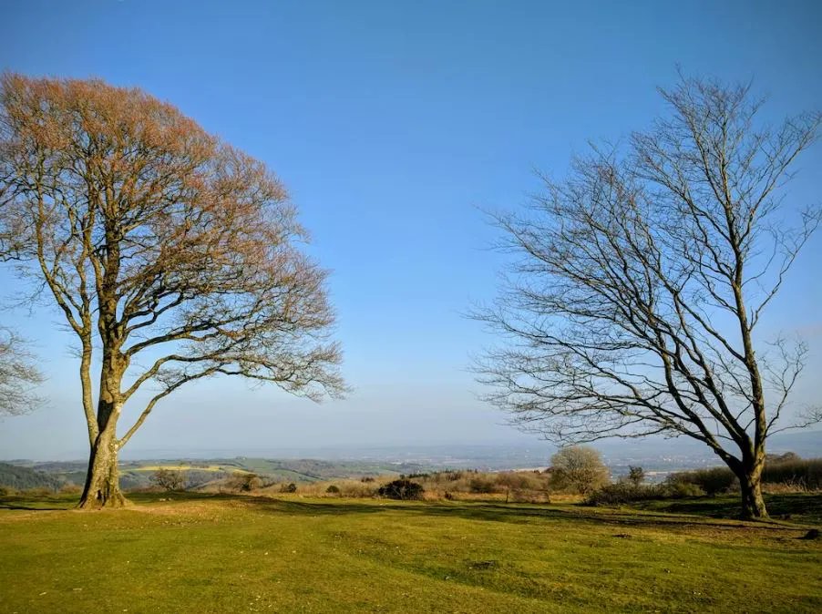 TheHolidayCots's tweet photo. There are plenty of interesting places to visit situated close to Dobbie's Barn. From walking the Quantock Hills to shopping at Clarks Village.
🛌Sleeps 1-4
https://t.co/4AZ6GtMWLz
#Spaxton #Bridgwater #Somerset #SelfCatering #Barn #Walking #QuantockHills #ClarksVillage https://t.co/LG8BTJ2IaI