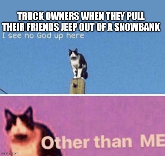 NltProblems tweet picture