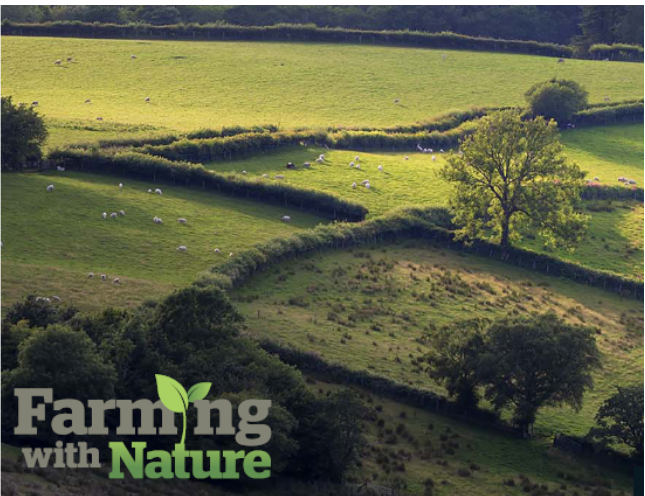 "The humble hedgerow is now being heralded as
a beacon of biodiversity &amp; carbon
capture" says <a href="/FarmersGuardian/">Farmers Guardian</a> 

It has recently been added as a Sustainable
Farming Incentive standard.

Read our blog &amp; the article featuring <a href="/chapmanpippa/">Pippa Chapman</a> &amp; <a href="/sofbiffi/">Sofia Biffi</a> 
bitly.ws/Bcyj