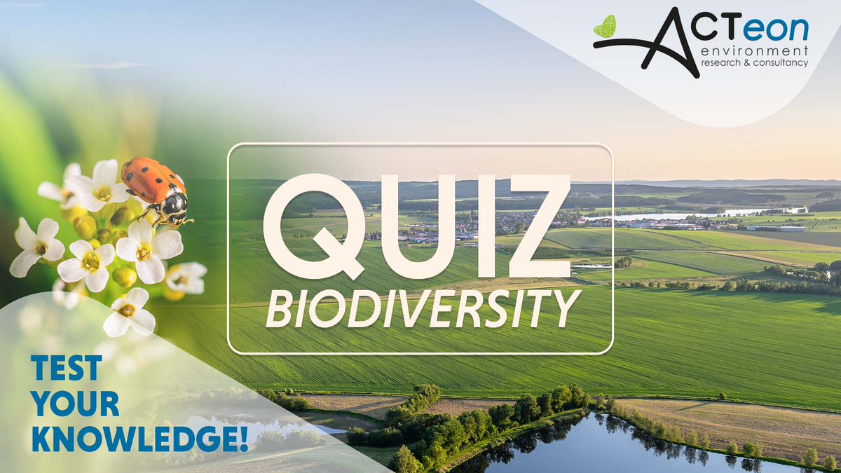 ACTeon Environment tweet media