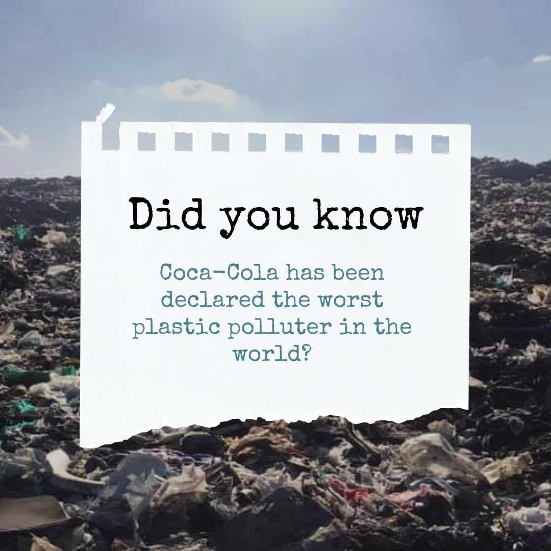 Small Steps Project tweet media