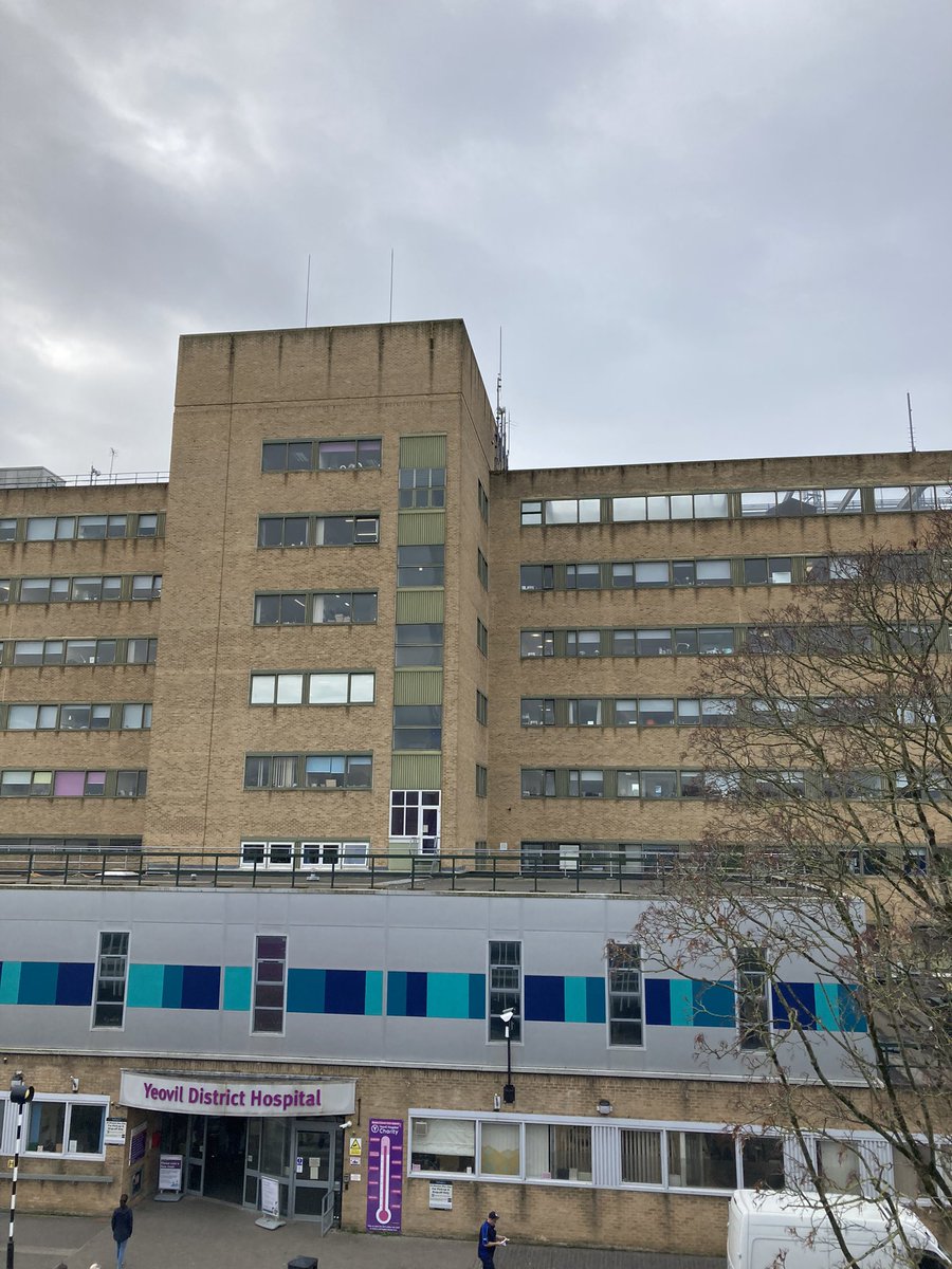 It’s really exciting to be talking with our YDH teams about Prehab, but that’s an awfully of stairs the day after running the grizzly