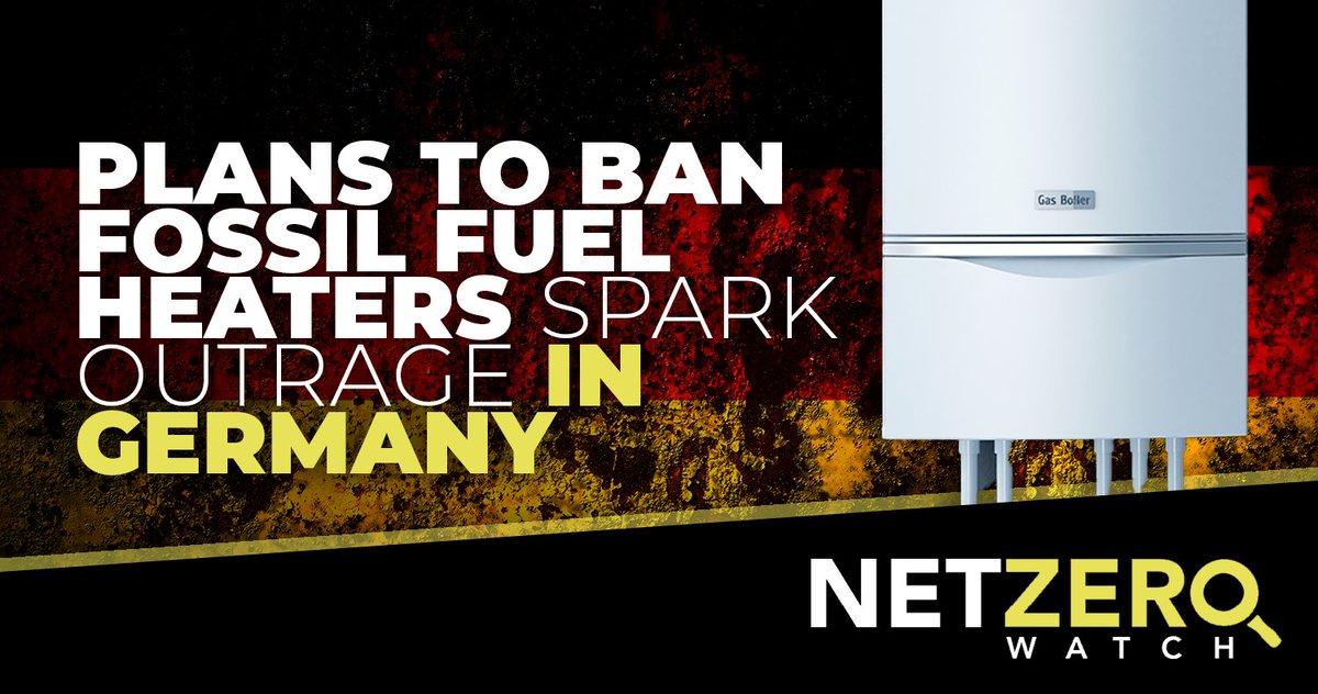 Net Zero Watch tweet media