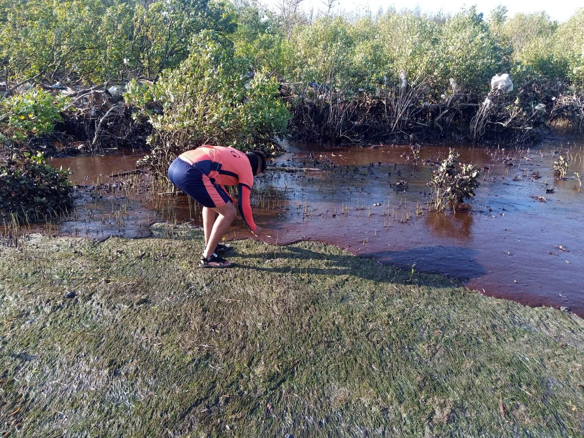 Daily Guardian on Twitter "DOT6 also tourists on Boracay