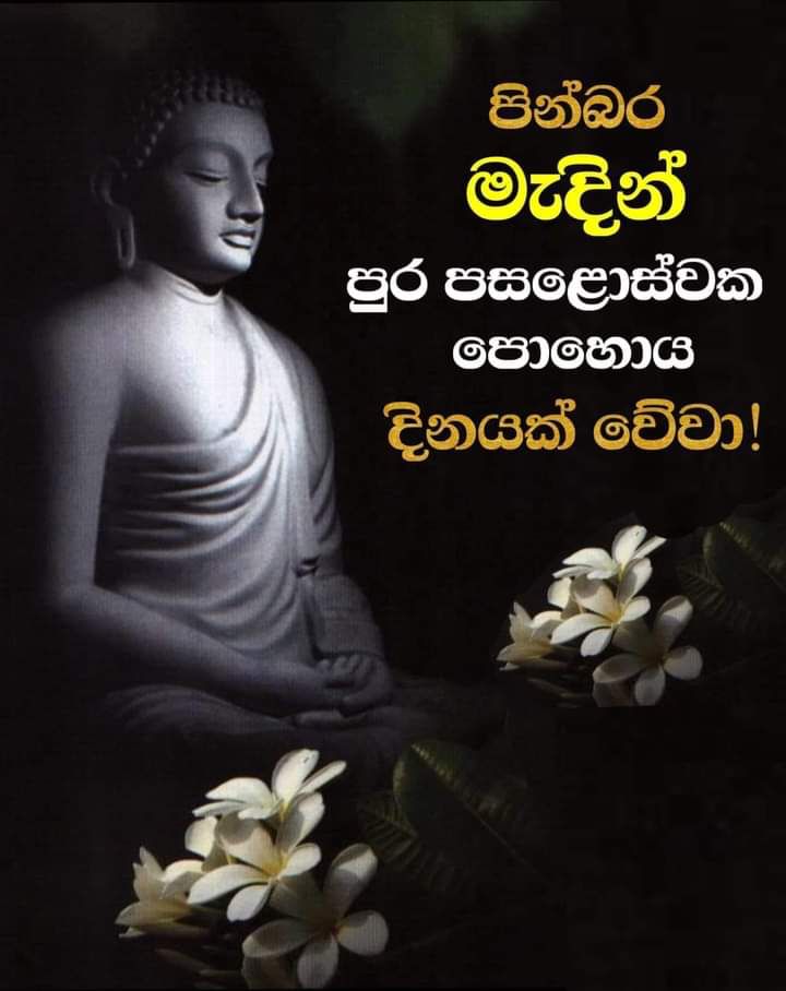 Dilshan Munaweera (@dilshansd24) on Twitter photo 