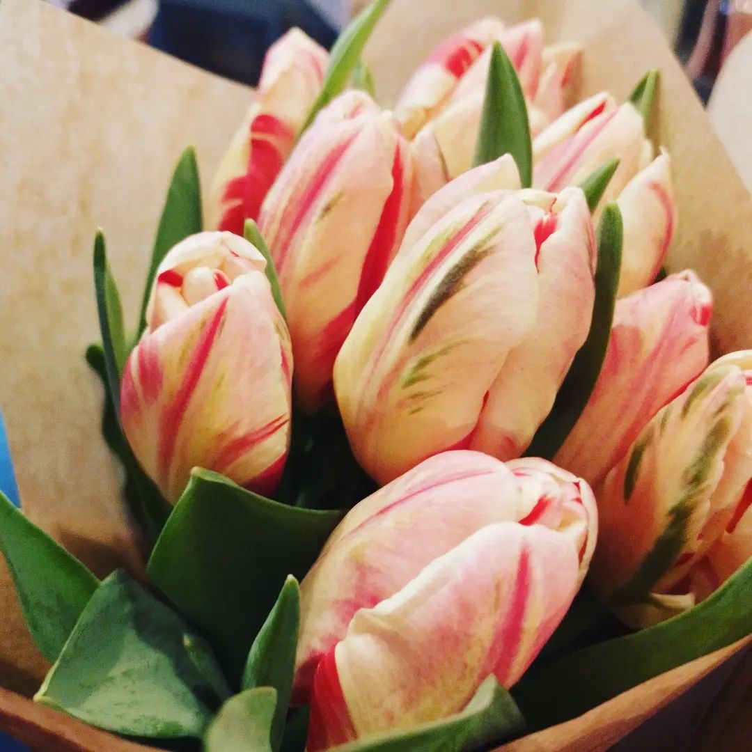 Beckenham Together tweet media