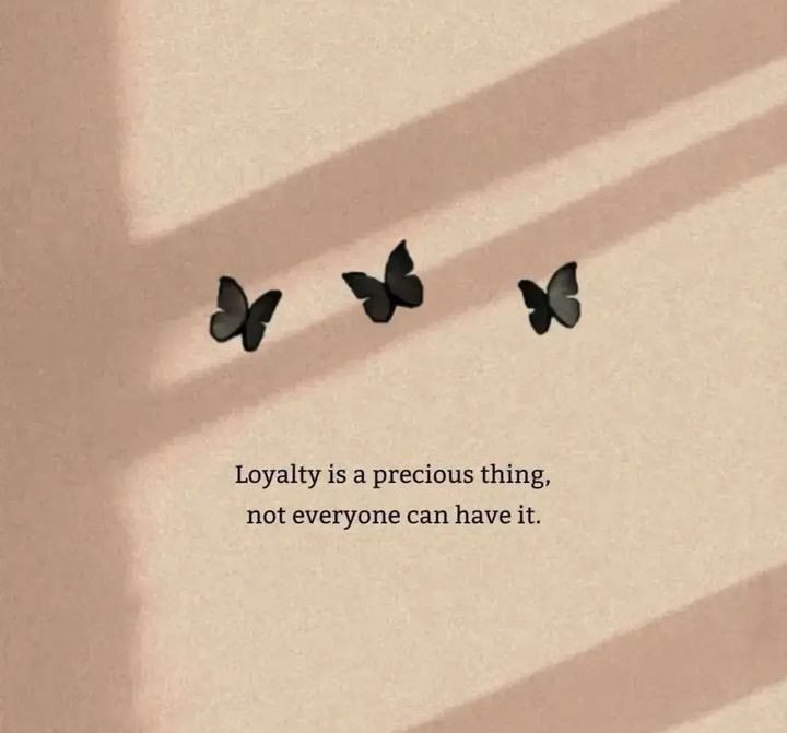 Loyalty is a precious thing, not everyone can have it.. 🦋

#goodmorning 
#GoodMorningTwitterWorld 
#GoodNightTwitterWorld 
#qoute
#qoutes 
#qouteoftheday