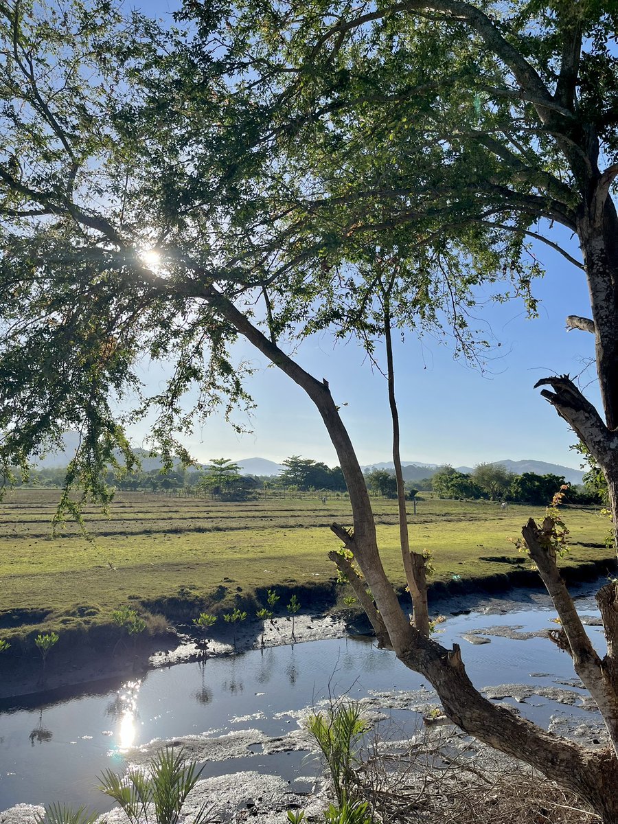 the world is quiet here