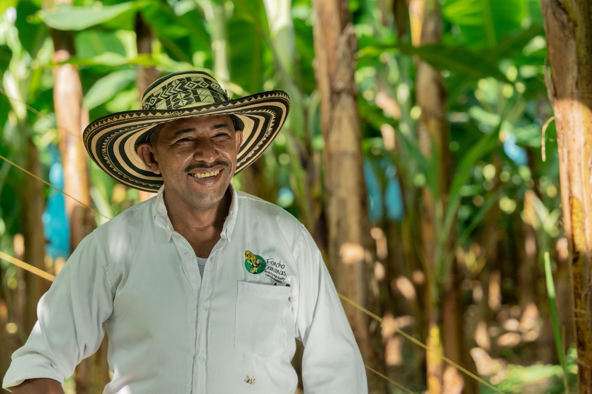Climate change is making crops like bananas harder to grow. But by making the small switch to #Fairtrade, we can support producers to protect our most-loved foods. 100% of <a href="/coopuk/">Co-op</a> bananas are Fairtrade and have been since 2012! 🍌#ChooseFairtrade