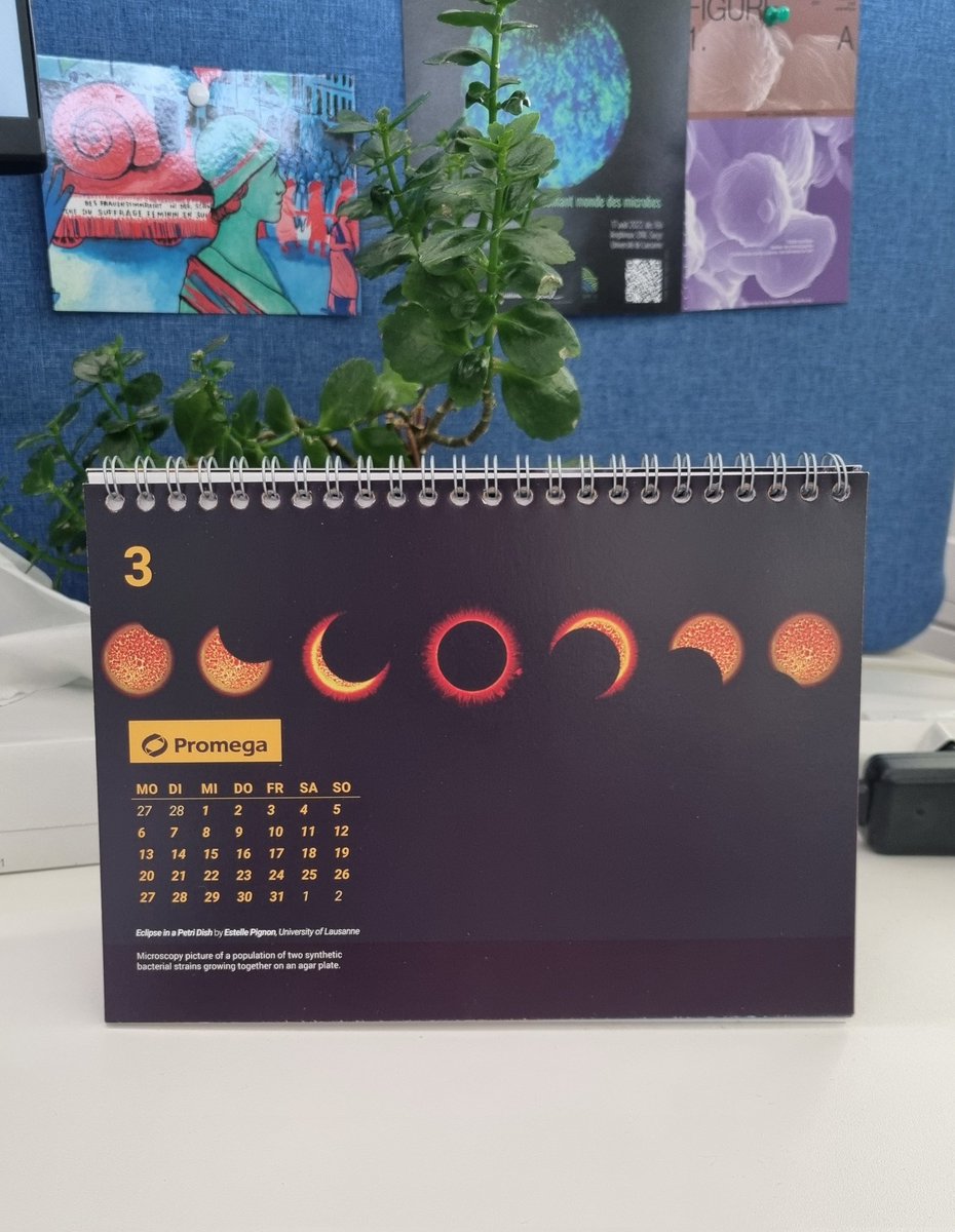 My image was selected for the <a href="/PromegaAG/">Promega AG</a> calendar :), happy month of March, everyone !