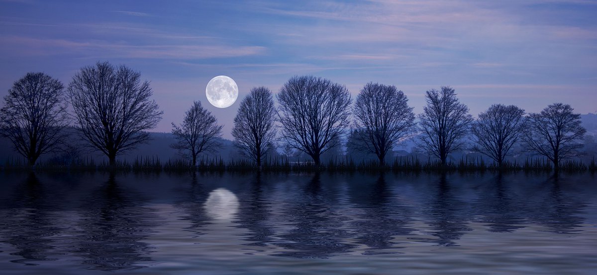 sweetstickyrain's tweet photo. #WormMoon 

https://t.co/FQWjgziXZs

Crow Moon,Crust Moon,Sugar Moon,Sap Moon, #ChasteMoon Death Moon,Lenten Moon,
#FishMoon,Sleepy Moon,
Windy Moon,Big Famine Moon,Moon of Winds,Death Moon,Crust Moon,
Seed Moon,Sugar Moon

#FullMoon https://t.co/BUx6rSMQD8