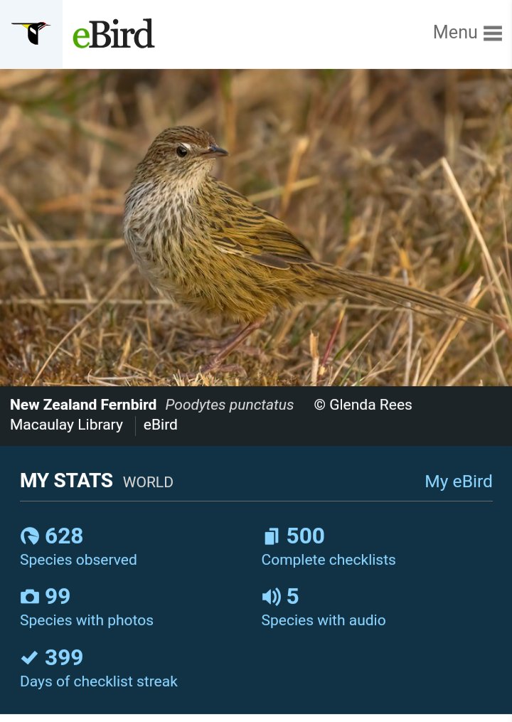 mrophiophagus's tweet photo. 399 days of birding checklist!! Can't believe I made it this far haha..once I defend I'm going to upload photos of all the birds I have as well....so that I can increase species with Audio....I have photos for most of the species.... https://t.co/LAdaDmNcn1