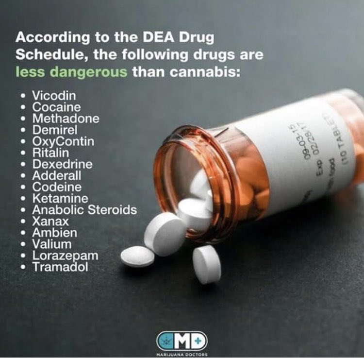 🤔 #cannabisismedicine