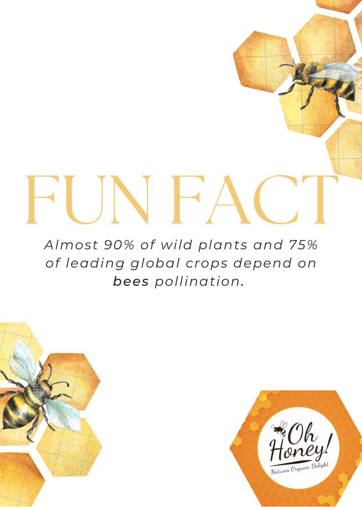 Without bees, many of our favorite foods including fruits, vegetables, and nuts would not exist, and our ecosystem would suffer greatly🐝🍯🕯️.

 #OhHoney
 #Sustainablebeekeeping
 #Honeyproducts 
 #Supportlocalbusiness
 #Givebacktothebees
 #Savethebees