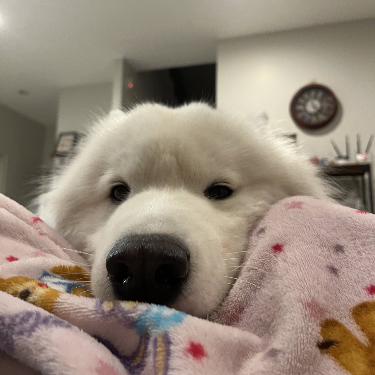 ขออ้อนหน่อย