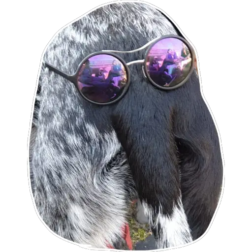 BorrisMitM's tweet photo. @MassiveMiniteam Reminds me of this Bonni-butt :D https://t.co/gMQ74fe8dh