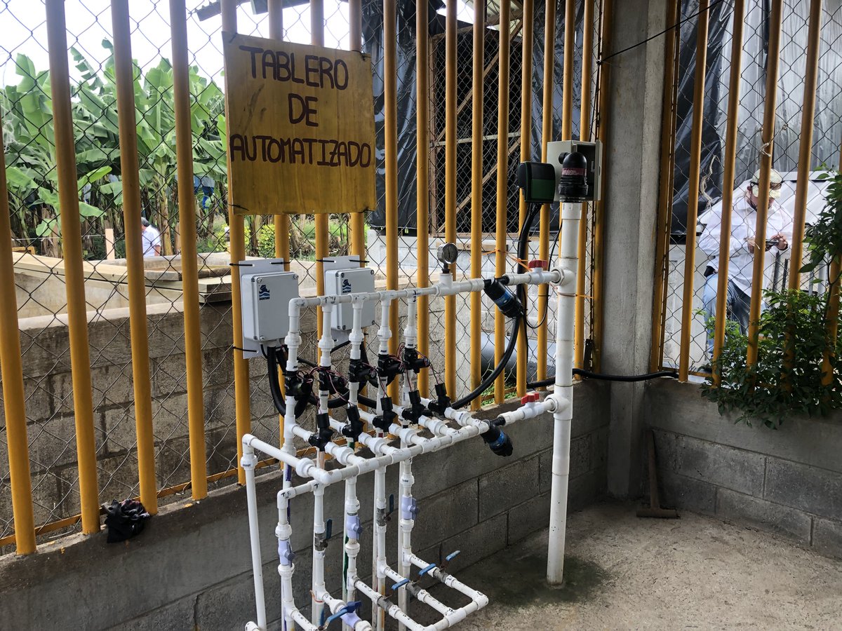 BERMADValves's tweet photo. A massive banana plantation in Guatemala 🇬🇹 now irrigated with BERMADIZED tech! #SmartIrrigation is enabled by the Omega controller. The register has been replaced with the E-Register, and the composite valve proves that mud is not a concern #BERMADIZE #agro #agtech #agtechnology https://t.co/Mcg6XkFlnw