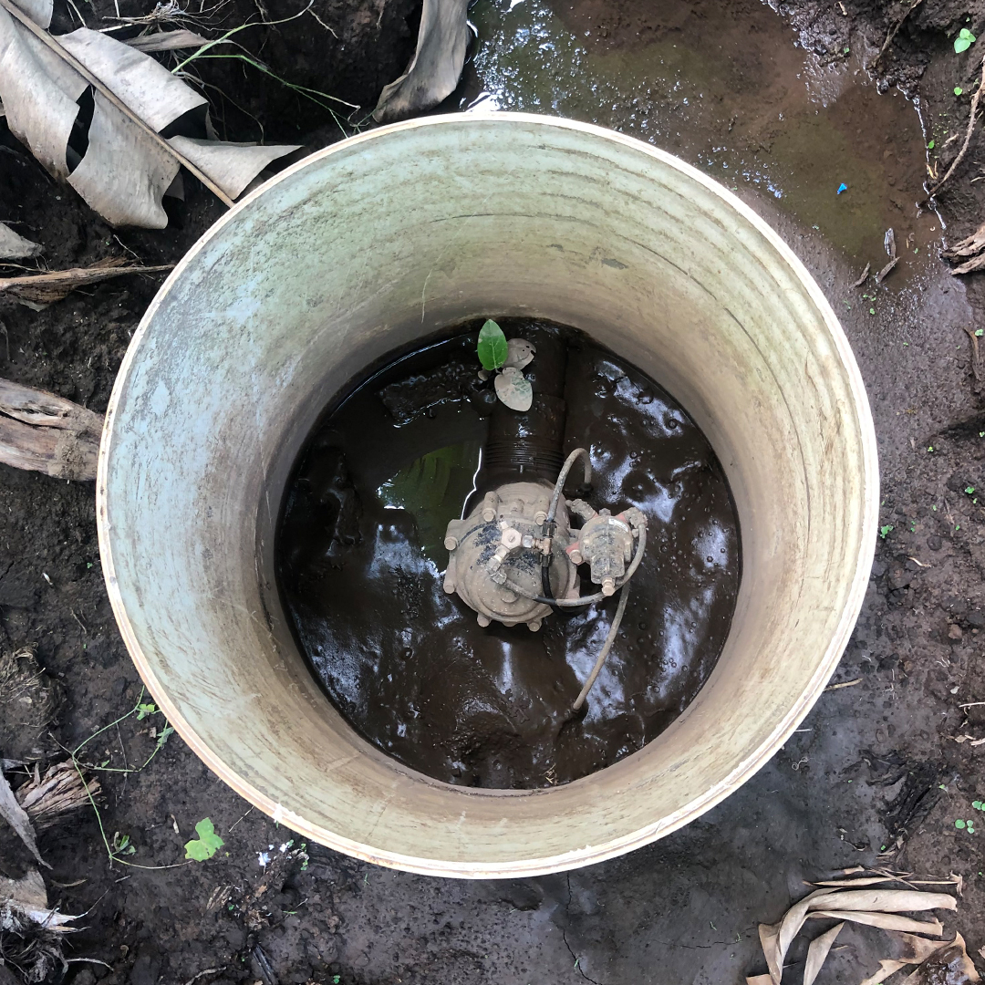 BERMADValves's tweet photo. A massive banana plantation in Guatemala 🇬🇹 now irrigated with BERMADIZED tech! #SmartIrrigation is enabled by the Omega controller. The register has been replaced with the E-Register, and the composite valve proves that mud is not a concern #BERMADIZE #agro #agtech #agtechnology https://t.co/Mcg6XkFlnw