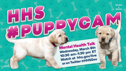 HHS_ASH's tweet photo. Feeling stressed? @HHSgov will host a #PuppyCam in collaboration with @HeroDogsInc on 3/8 starting at 10:30 am ET. The livestream will feature service dogs, therapy dogs, and puppies-in-training, and will give stress reduction tips. https://t.co/NeKZzsXmuM