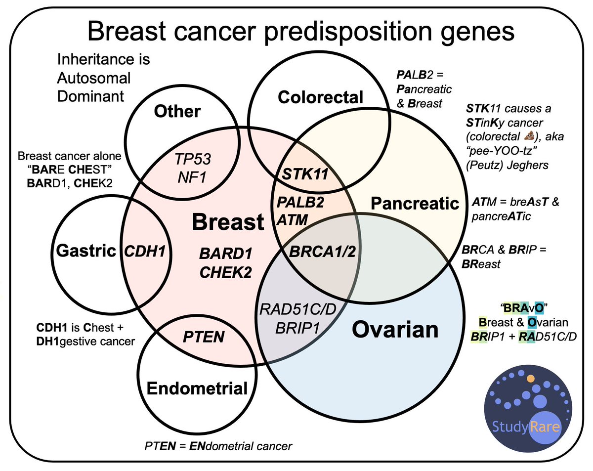 Breast cancer predisposition genes

BARD1, CHEK2 = Breast ca alone ('BARe CHEst')
CDH1 = Chest & DH1gestive (i.e. gastric)
ptEN = ENdometrial
STK11 = STinKy cancer (colorectal)
PALB2 = PAncreatic & Breast
ATm = pancreATic & breAsT
BRca & BRip1 = BReast ca

#GeneChat #oncology