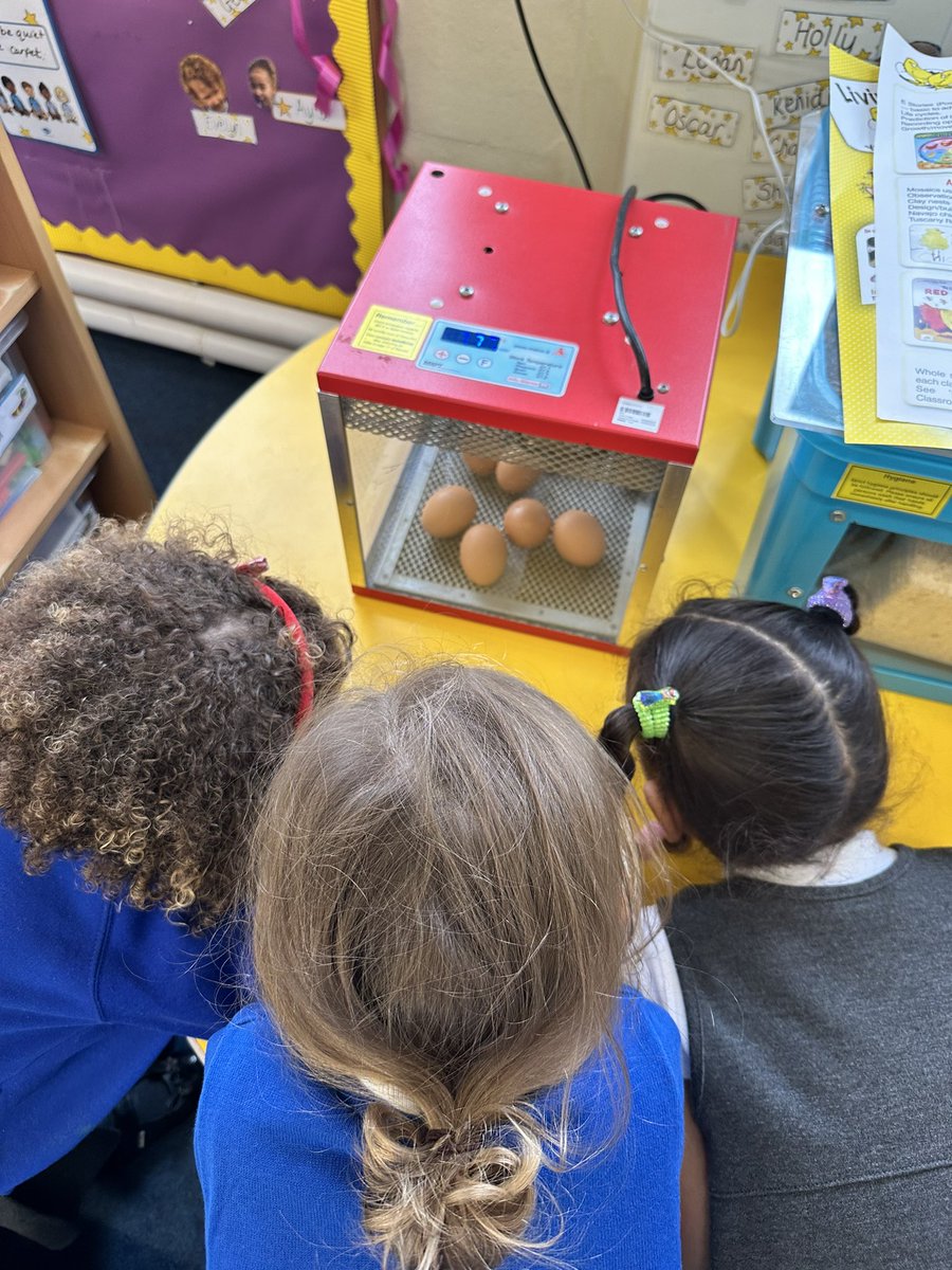 AmyCracknell1's tweet photo. Today our living eggs arrived at nursery. We can’t wait to watch them hatch 😀🐣@PelhamNursery  @PelhamPrimary_ @trustilluminate https://t.co/jOPfZDiE91