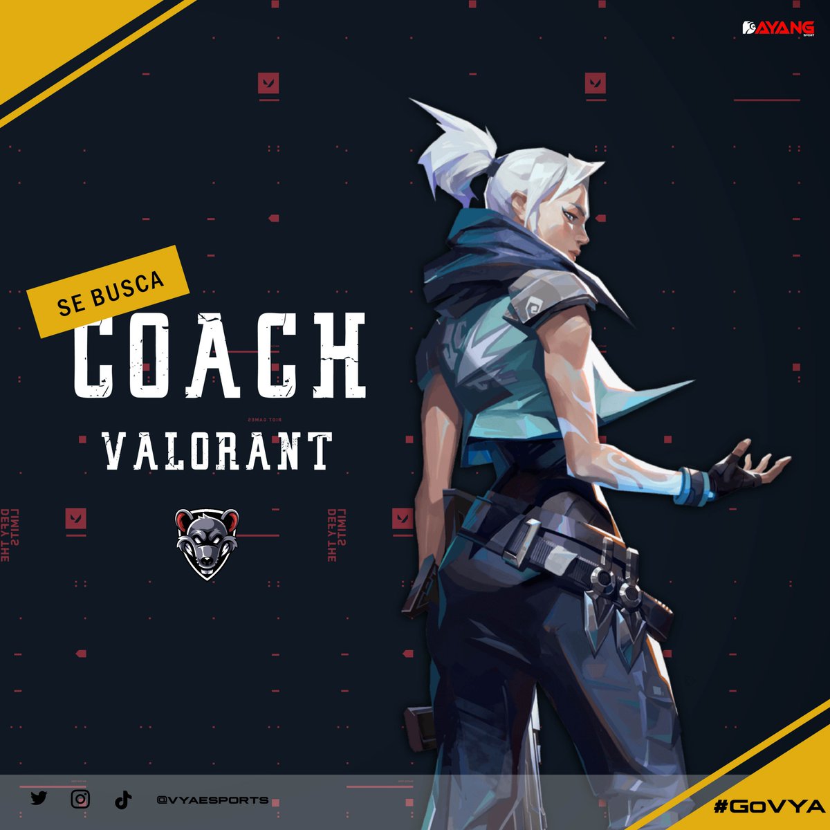 ¡Buscamos COACH para nuestro equipo!👨‍🏫👩‍🏫

🔘Disponibilidad horaria 
🔘Experiencia

Si crees tener la capacidad o conoces a alguien que quiera aceptar este desafío no dudes en escribirnos al DM y/o compartir🧡

#GoVYA #COACH #VALORANT