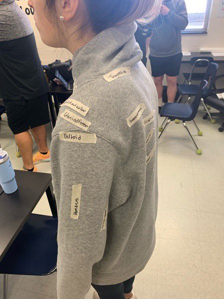 ReaganSportsMed's tweet photo. Shoulder Complex Labeling practice this morning in Sports Med 3 https://t.co/ZAMrCovm4j