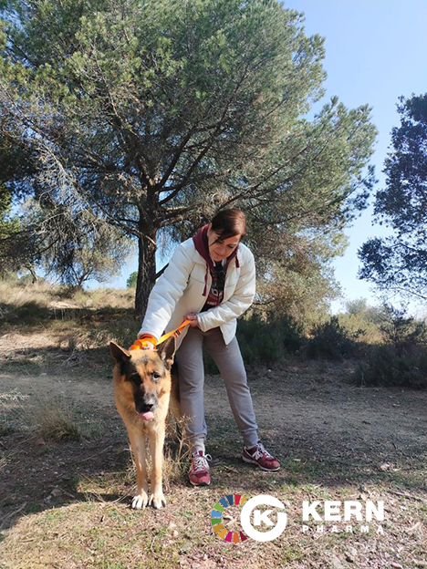 Kernpharma's tweet photo. Nuestra última acción de #voluntariadocorporativo nos ha llevado a pasear perros rescatados por la protectora APAG y #compartir con ellos y nuestrxs compañerxs de #Calier una jornada llena de salud, cariño y risas. Una jornada #SienteCreaComparte 🐶 https://t.co/9X0a9UgMUj