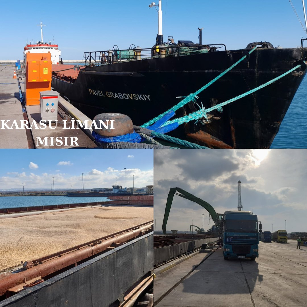 Promaksgrain's tweet photo. 2023 yılının ilk iki ayında Samsun, Karasu, Bandırma ve İzmir Limanlarına getirdiğimiz tahıl ürünleri (buğday, mısır, soya fasulyesi, arpa, atk) 'nin tahliyelerini tamamlayarak müşterilerimize ulaştırdık.

#promaksgrain #buğday #tahıl #grain #wheat  #soybean #export #corn #barley https://t.co/u93l9dniRR