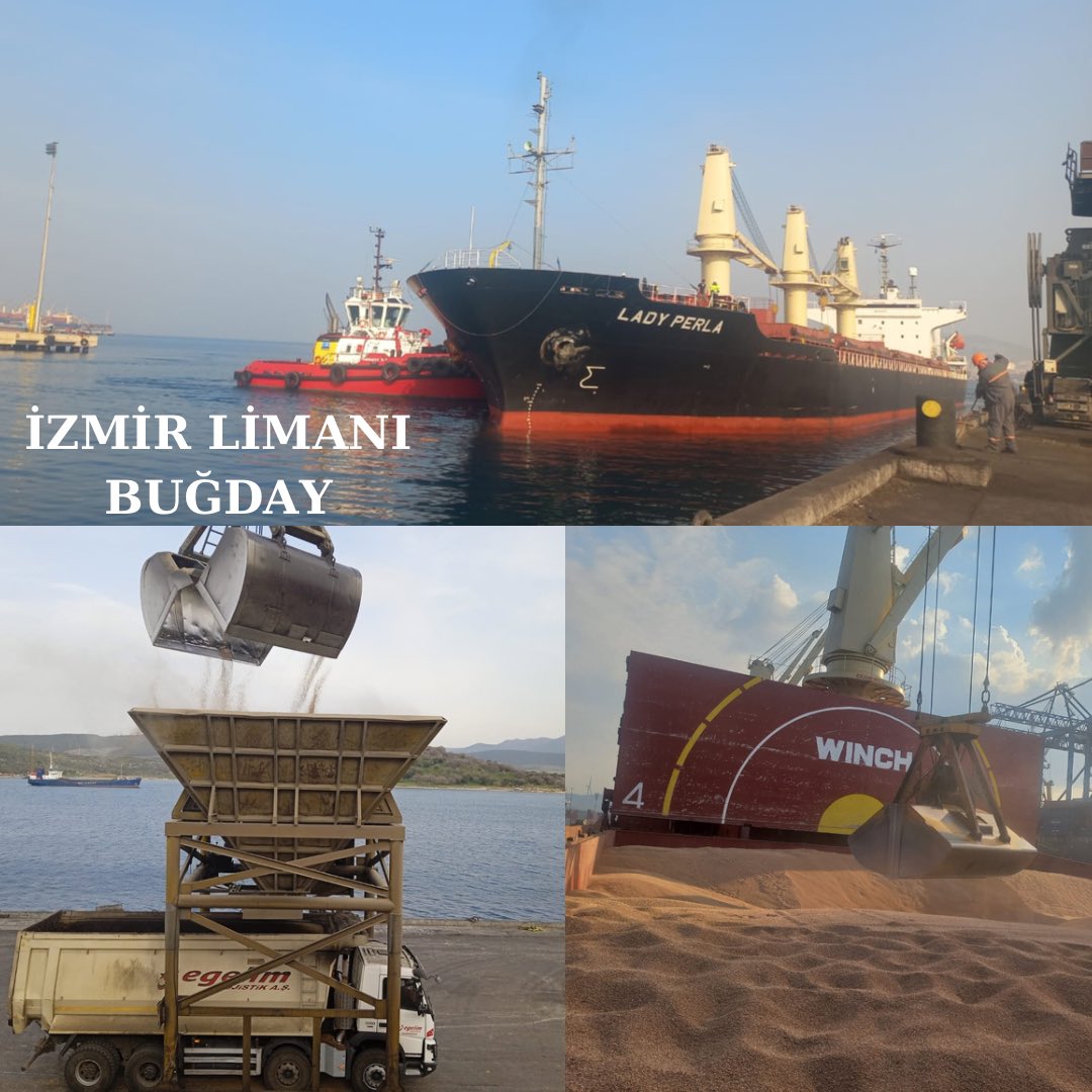 Promaksgrain's tweet photo. 2023 yılının ilk iki ayında Samsun, Karasu, Bandırma ve İzmir Limanlarına getirdiğimiz tahıl ürünleri (buğday, mısır, soya fasulyesi, arpa, atk) 'nin tahliyelerini tamamlayarak müşterilerimize ulaştırdık.

#promaksgrain #buğday #tahıl #grain #wheat  #soybean #export #corn #barley https://t.co/u93l9dniRR