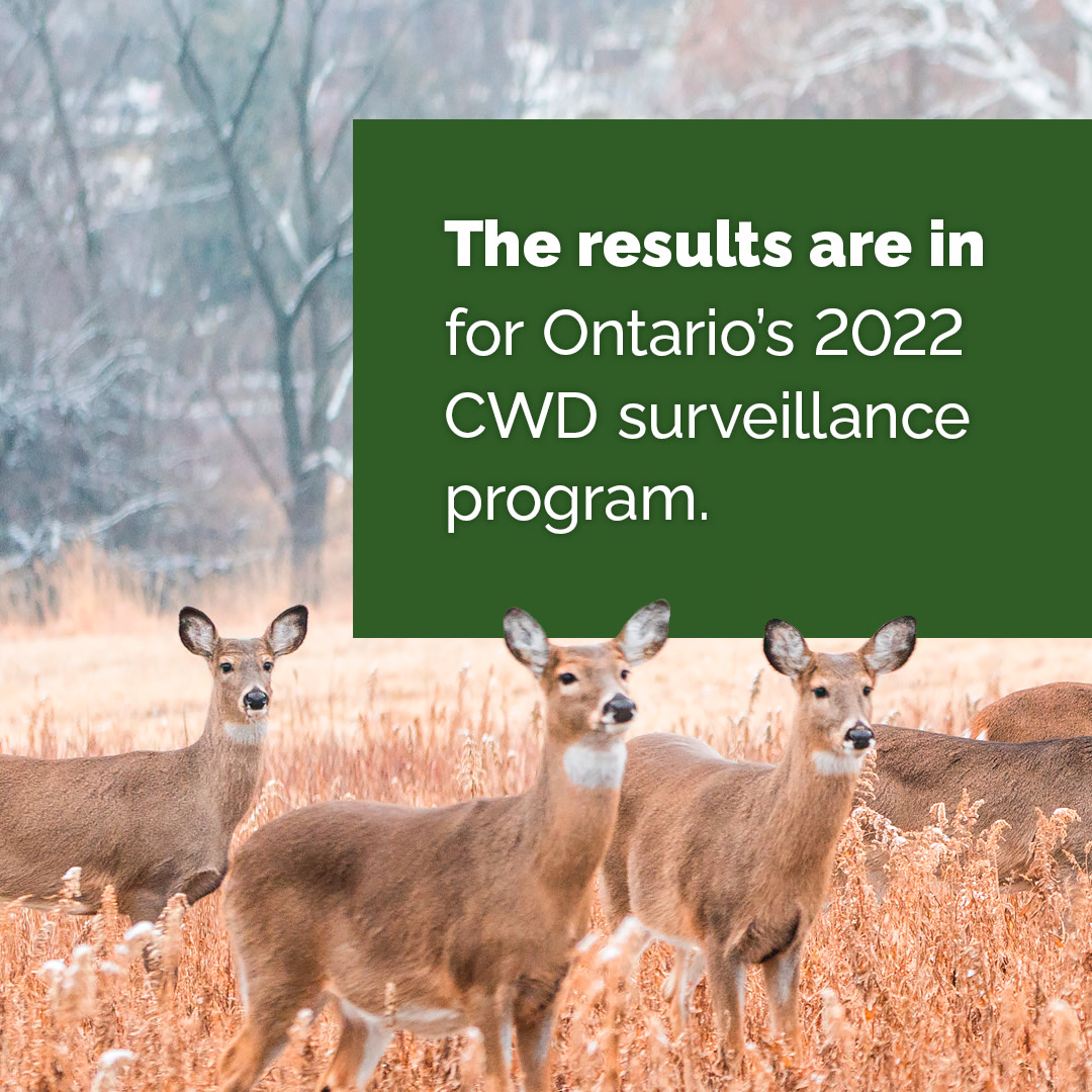 Ontario Ministry of Natural Resources tweet media