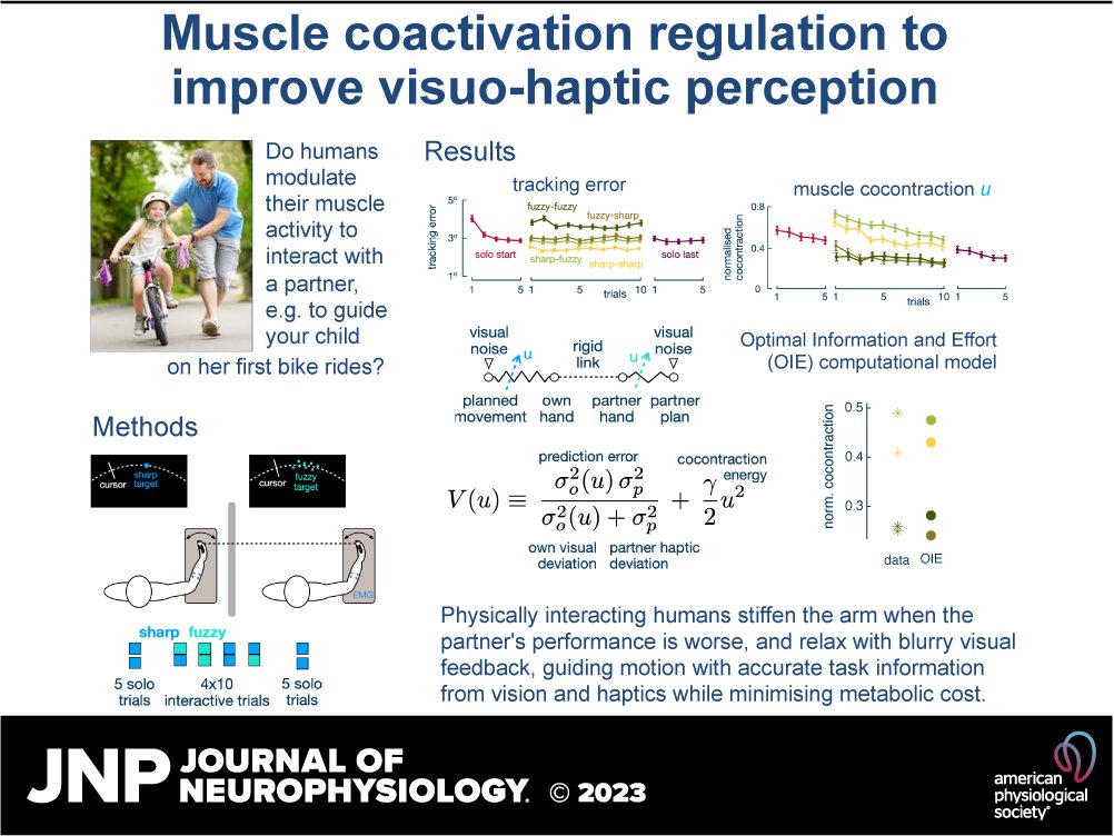 JNeurophysiol's tweet photo. 🔓#OpenAccess Physically interacting humans regulate muscle coactivation to improve visuo-haptic perception (Etienne Burdet et al.)
🖱https://t.co/8jBHRQhhul
#VisuoHapticPerception #electromyography #MuscleCoactivation #HumanHumanInteraction #ComputationalModel https://t.co/MIVAmUkzha