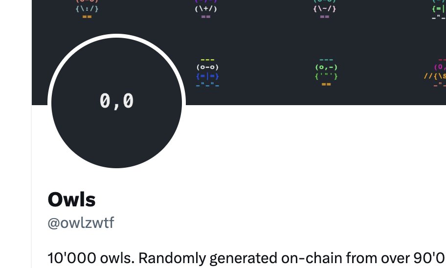 Owls tweet media