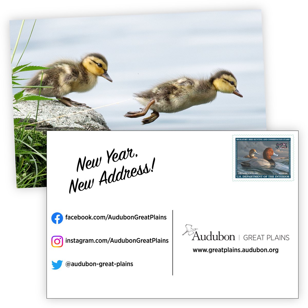 We've moved!
Follow us at: <a href="/Audubon_GP/">Audubon Great Plains</a> 
Visit us online at: greatplains.audubon.org