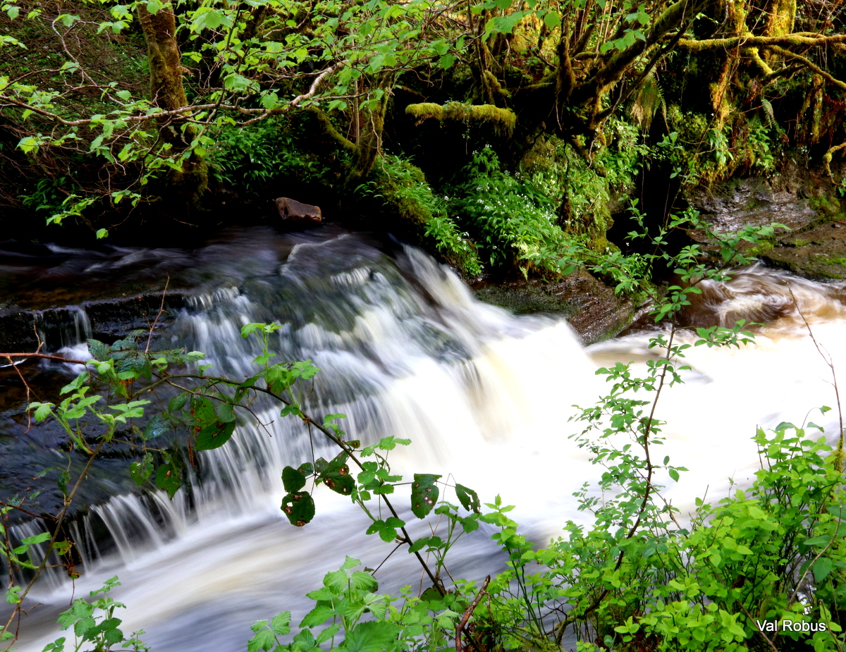 Val 📷 tweet media