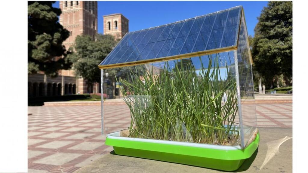 Crean unas placas solares que pueden convertir los invernaderos en grandes centrales eléctricas
     ift.tt/I4mtgcN