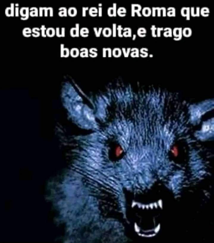 TerrorCotidiano's tweet photo. https://t.co/H9LFPQfPSP