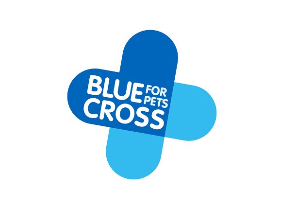 PortPetFoodBank's tweet photo. We want to say a massive thank you to @BlueCrossPA and @PetsatHome for their kind donation of dog food this morning. We are so grateful that you are coming onboard with us on our journey at Portadown Pet Food bank ❤️ 

https://t.co/0BdlOUugJF

https://t.co/VRhbJHRD3z https://t.co/ktIchnTmBV