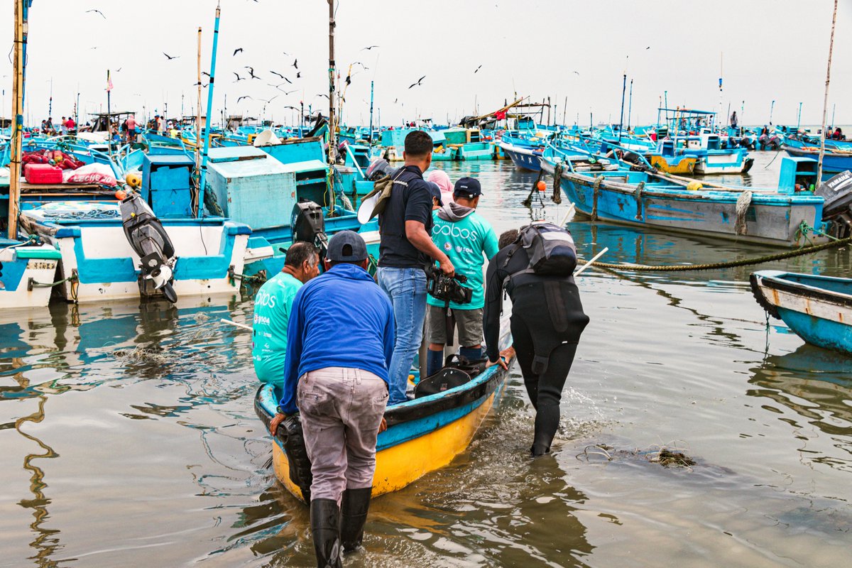 Daniel Cisneros tweet media