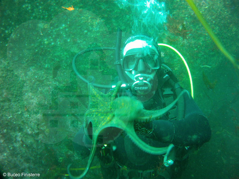 ¿Sabías que en Finisterre puedes disfrutar de numerosas actividades acuáticas? El mar se disfruta a través de la vela, buceo, windsurf o surf en Rostro y Mar de Fóra. 
#galicia #galiciaaventura #turismodegalicia #visitgalicia