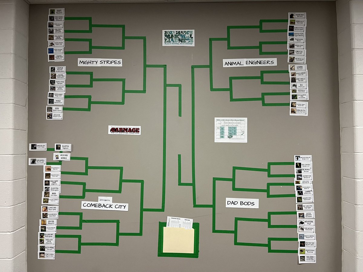 We’re ready for March Mammal Madness! Let the carnage begin!@MMMletsgo