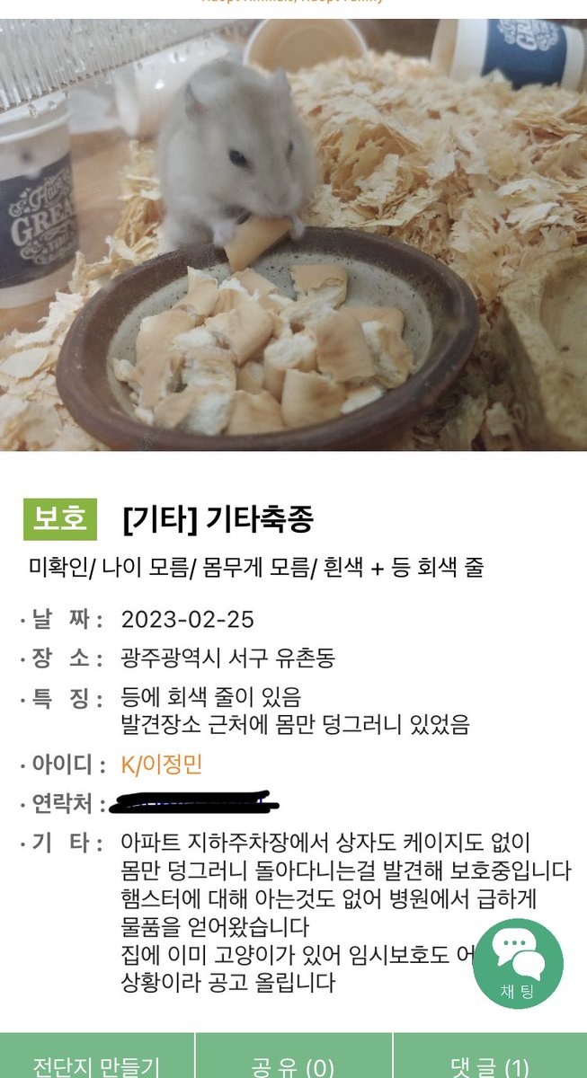 yihui781's tweet photo. 2월25일 광주지역 서구 유촌동에서 케이지도 없이 햄스터가 유기됨/ 중가리안 황색종류 어린 개체/

발견자께서 임보처를 구하기위해 포인핸드와 트위터에 글을 올리심

3월 6일 간단한 리빙과 사료, 베딩이 지원됨
3월 11일 서울 임보처로 이동예정 https://t.co/pQe7ExqEDQ