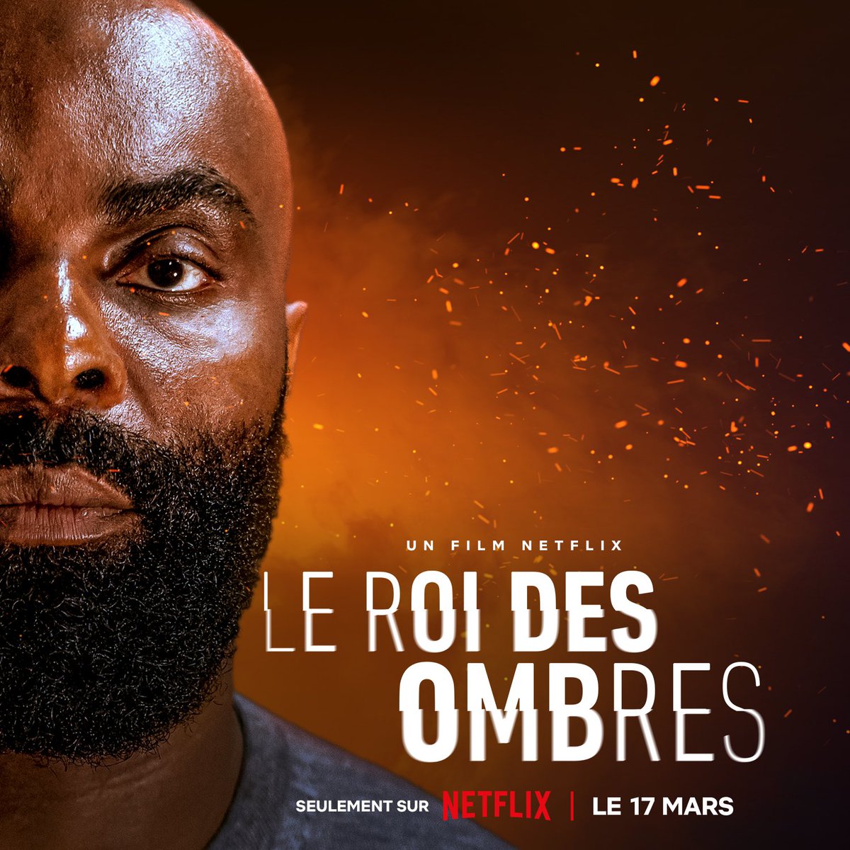 KaarisOfficiel1's tweet photo. • LE ROI DES OMBRES•
RDV sur @NetflixFR le 17 mars. https://t.co/afhWkdWaNF
